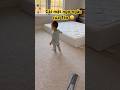 Tèo ngơ ngác trong căn phòng của Tèo 😄Teo’s reaction when mommy cleaned his whole room