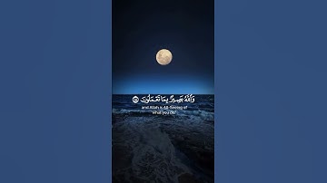 إن الله يعلم غيب السماوات والارض...|| سورة الحجرات || الشيخ سيد سعيد