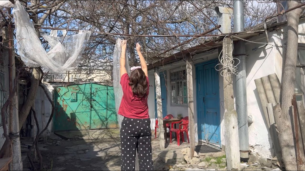 Протерла полы, развесила бельё, сняла шторы, воткнула лук, прогулялись💜