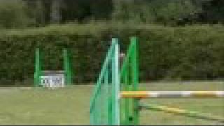 Clarabelle Nellie D showjumping 19 7 09