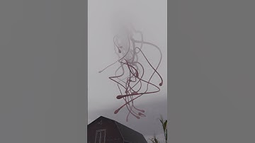 Something is here...