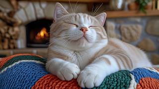 12 Hours Of Calming Music for Cats 🐈 Relaxing Cat Sleep Music 🎵 Soft Night Comfort 😴 Cat TV No Ads screenshot 3