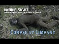 Corpse at limpany  unique sight rdrii