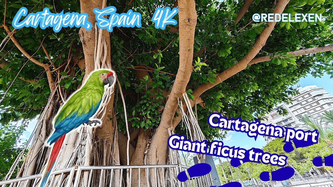 Cartagena – Walk Towards the Port [4K] (Southeast Spain Sights, Part 2.)