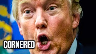 Celebrity Trump CORNERED By DOJ Prosecutors Evidence Net Worth