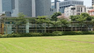 싱가포르 부기스 라이온 피크 호텔