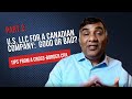 Part 2: U.S. LLC For Canadians Doing Business in the U.S. — Solutions