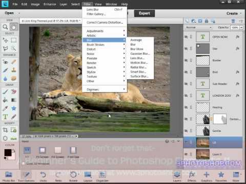 Blurring the Background in Photoshop Elements 