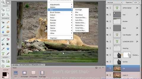 Blurring the Background in Photoshop Elements 11