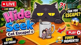 Hide and seek cat escape fun live game #hideandseekcatescape screenshot 4