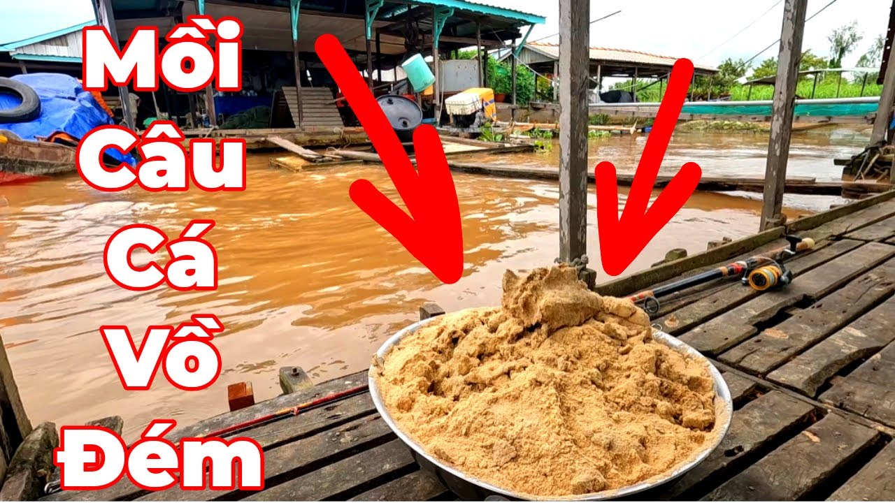 Câu Cá Vồ Đém Mùa Nước Nổi #16 || Chia Sẻ Cách Trộn Mồi Cá Xay .