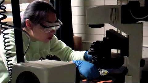 Iowa State University Cancer Cell Research