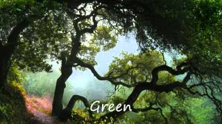Travel Bangladesh