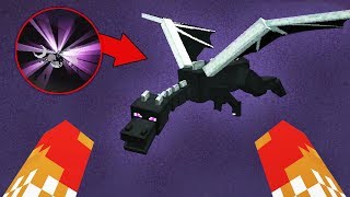 dumbest way to fight the ender dragon (part 17)