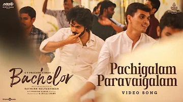 Pachigalam Paravaigalam Video Song | Bachelor | G.V. Prakash Kumar |Sathish Selvakumar |G Dillibabu