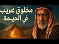 264 شباب طالعين لصحراء الصمان وقابلوا شايب في حضنه مخلوق من نوع خاص قصص حقيقية 