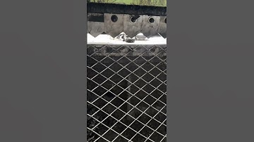 Expanded metal mesh manufacturing #expandedmesh #expandedmetal #satisfying #shorts #custom