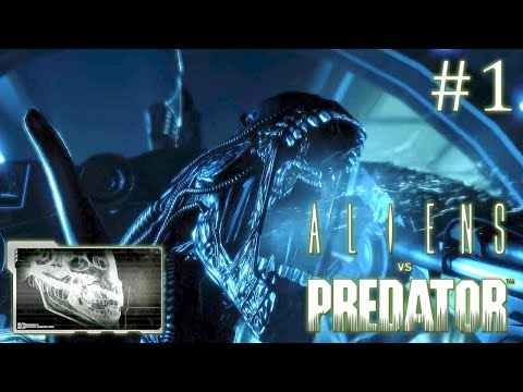 Видео: Aliens versus Predator 2010 // За чужого // Часть 1