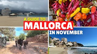 Mallorca in November | What to Expect