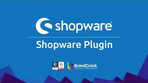 Shopware Plugin Article Additional Tab - Product  Detail Page Full Video