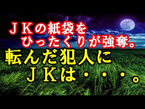 【修羅場】ＪＫの紙袋をひったくりが強奪。転んだ犯人にＪＫは