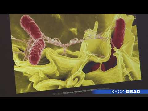 Video: Razlika Između UTI I Infekcije Kvascem