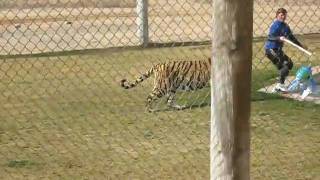MVI_0411.AVI