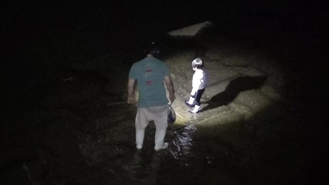 テナガエビ漁と薪とキスちょい投げと海と料理