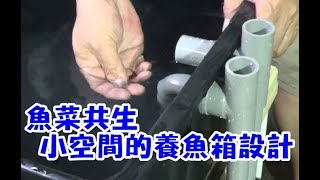 有為農園魚菜共生小空間的養魚箱設計 