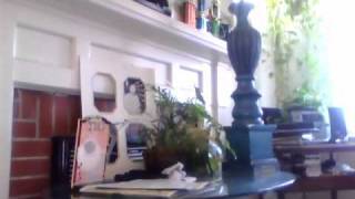Capture 20110204