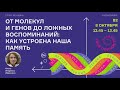 О. И.  Ивашкина &quot;От молекул и генов до ложных воспоминаний:   как устроена наша память&quot;