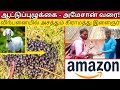 ஆட்டுப்புழுக்கை அமேசானில் விற்பனை! அசத்தும் கிராமத்து இளைஞர் - Village Youngster Rocking in 'Amazon'