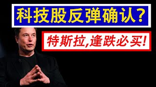 EP 63 – 科技股反弹确认？特斯拉，逢跌必买！