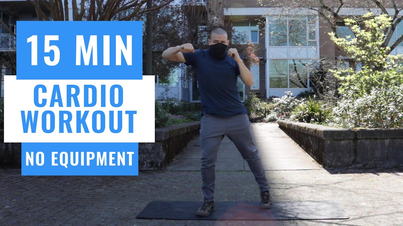 15 MINUTE FIGHTERS CARDIO WORKOUT / PHYSICAL EDUCATION FOR ALL AGES