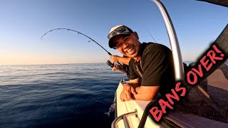 BANS OVER! Demersal Fishing CATCH and COOK