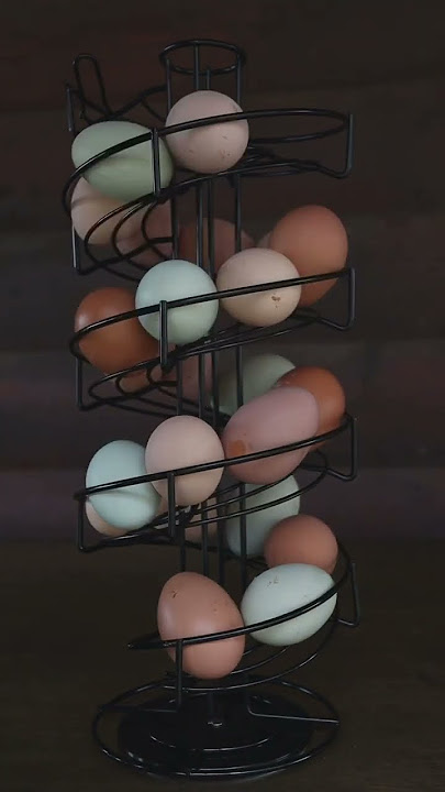 Rotating Egg Storage Rack Product Review 