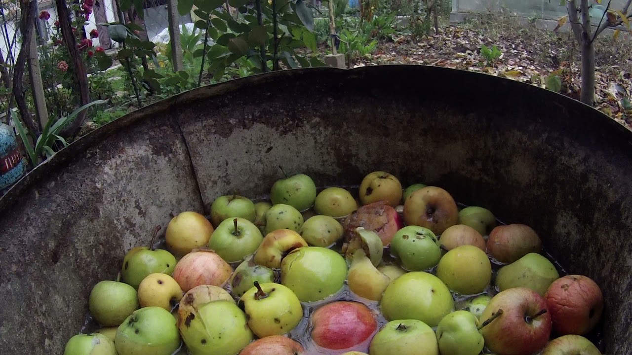 Ябълкова ракия 2021.