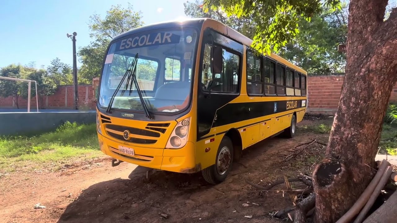 Mostrando os amarelinhos que estão em nossa garagem e falando para onde estão os outros.