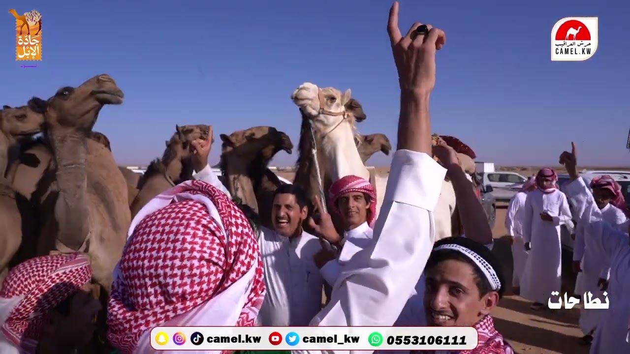 منقية خلف دحيلان الشراري  بمناسبة مشاركتة بمهرجان جادة الابل بتبوك