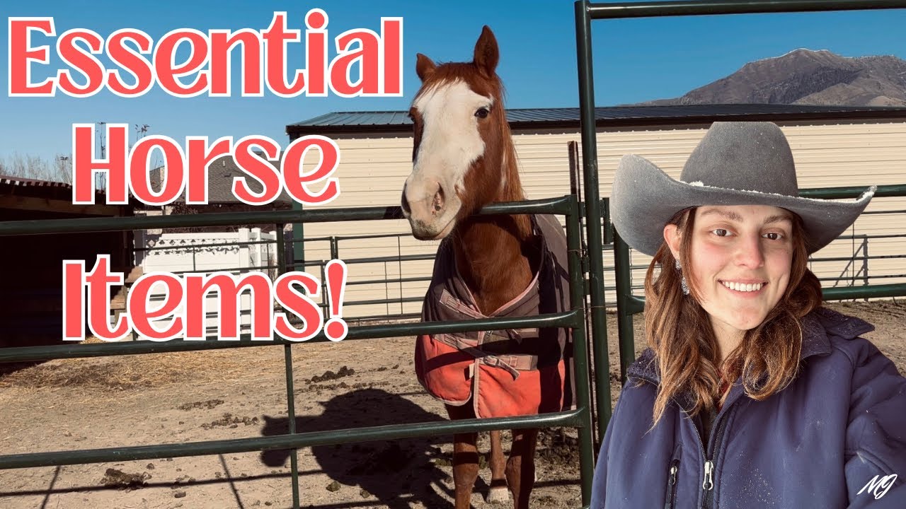 ESSENTIAL Horse Items You NEED!! 🌵 *tack, feed, training equipment ...