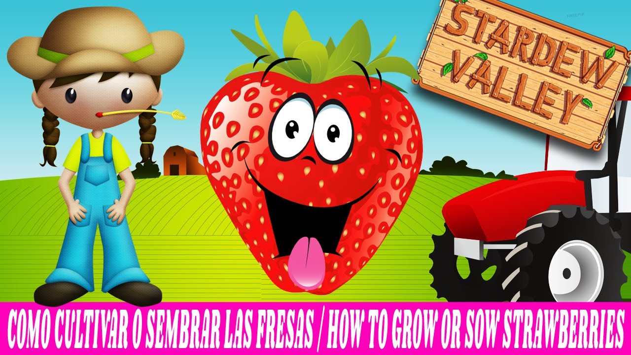 COMO CULTIVAR O SEMBRAR FRESAS / HOW TO GROW OR SOW STRAWBERRIES