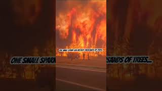 Extremely Dangerous Forest Fires! 🚨🔥 | Nature’s Wrath #shorts