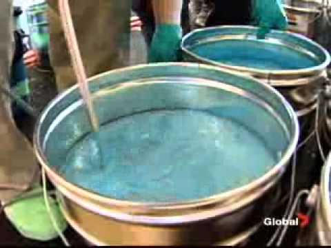 Richmond Oval News Clip - Largest continuous sports floor
