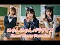 にゃんにゃんパラダイス/Meow Meow Paradise