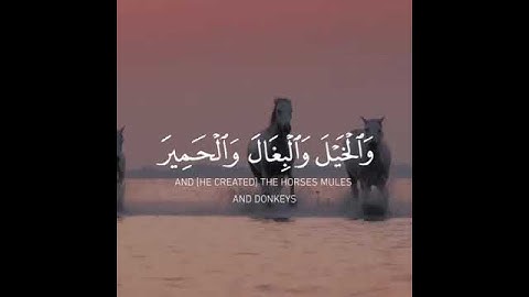 تلاوه بنبره جميله | للقارئ فارس عباد | حالات واتس اب | تلاوه خاشعه | قران كريم♥♥.