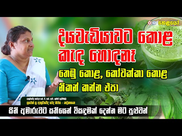 සීනි අමාරුවට සතියෙන් විසඳුමක් දෙන්න මට පුළුවන් - Ayurvedic treatment for sugar disease/ diabetes