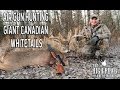 Air Gun Hunting GIANT Canadian Whitetails