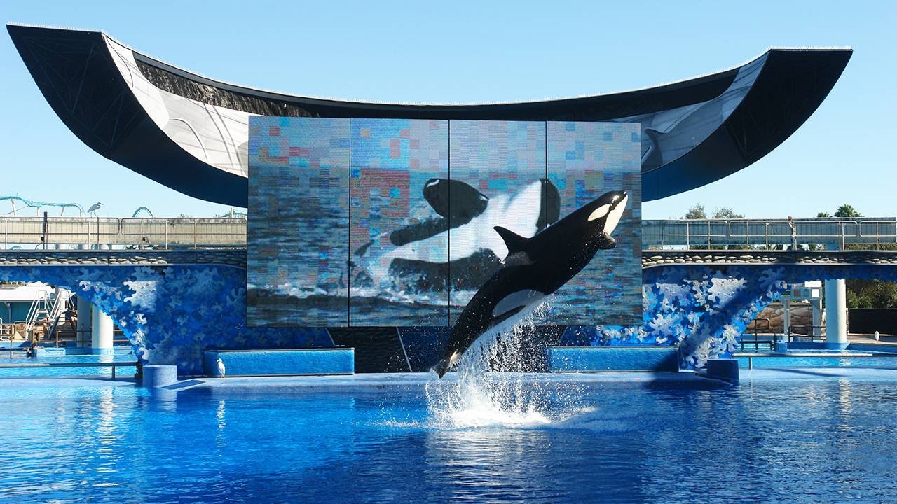 California Approved SeaWorld’s Desires to Expand Its San Diego Theme Park With One Big Caveat California Approved SeaWorld’s Desires to Expand Its San Diego Theme Park With One Big Caveat