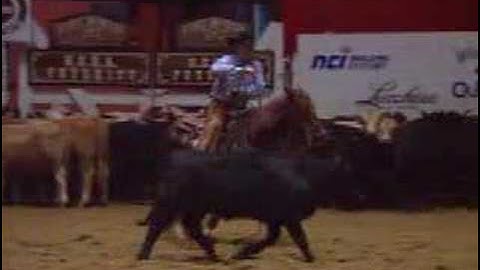 2006 NCHA Futurity Amateur Champion