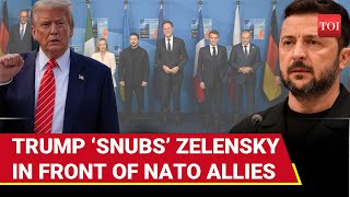 Zelensky ‘CORNERED’; Trump’s Shock Announcement On Putin Leaves NATO Stunned | Watch